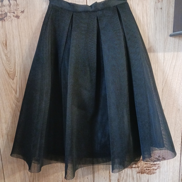 Aqua Dresses & Skirts - Aqua Mesh Overlay Fully Lined Pleated Knee Length Skirt